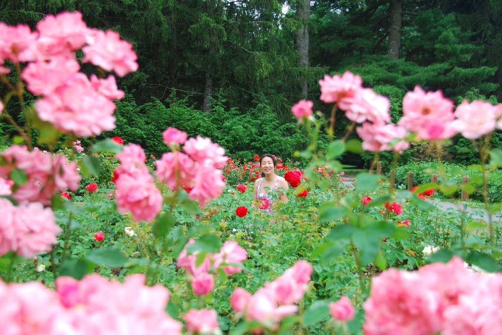 DSC_1549.JPG